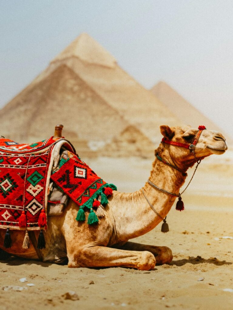 Cairo